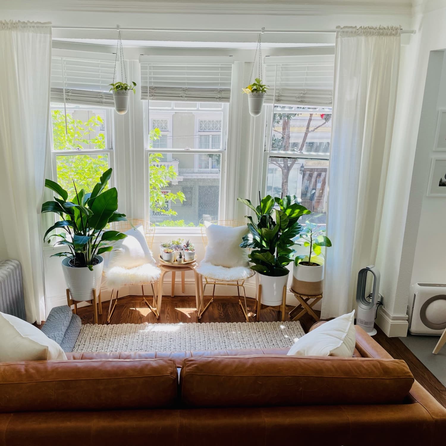 400 Square Foot San Francisco Studio with 40 Plants | Apartment